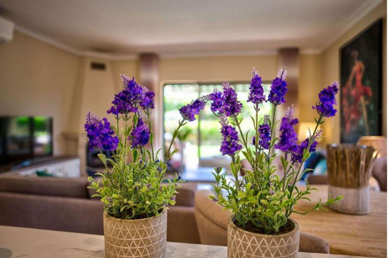 2Bedroom Bungalow Heated Shared Pool ,Near Carvoeiro And Ferrugudo 外观 照片